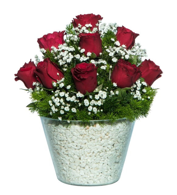 Paşabahçe Vazoda Sevgi Bahçesi 9’lu Kırmızı Gül