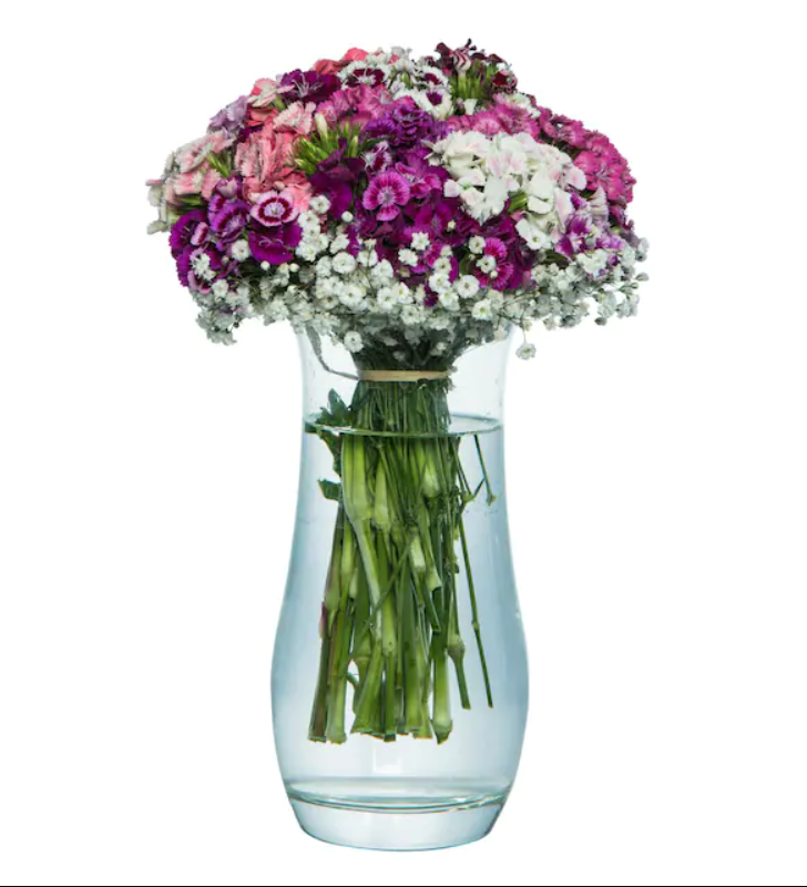 Vazoda Hüsnüyusuf Çiçeği